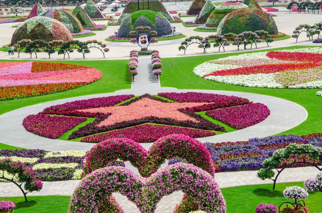 star-shaped flower garden in hues of pink
