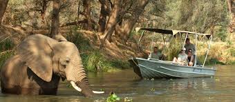 elephant in water, boat alongside