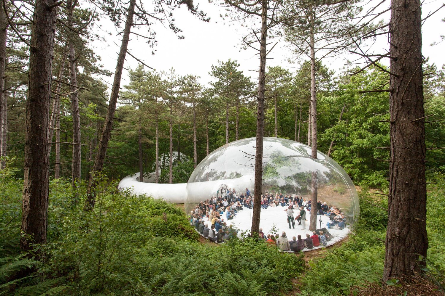 clear bubble in forest