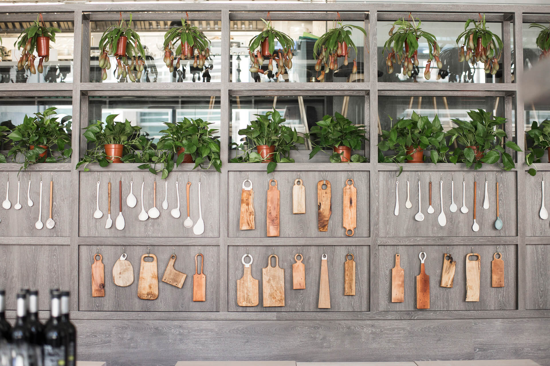wooden utensils hanging on wall, plants