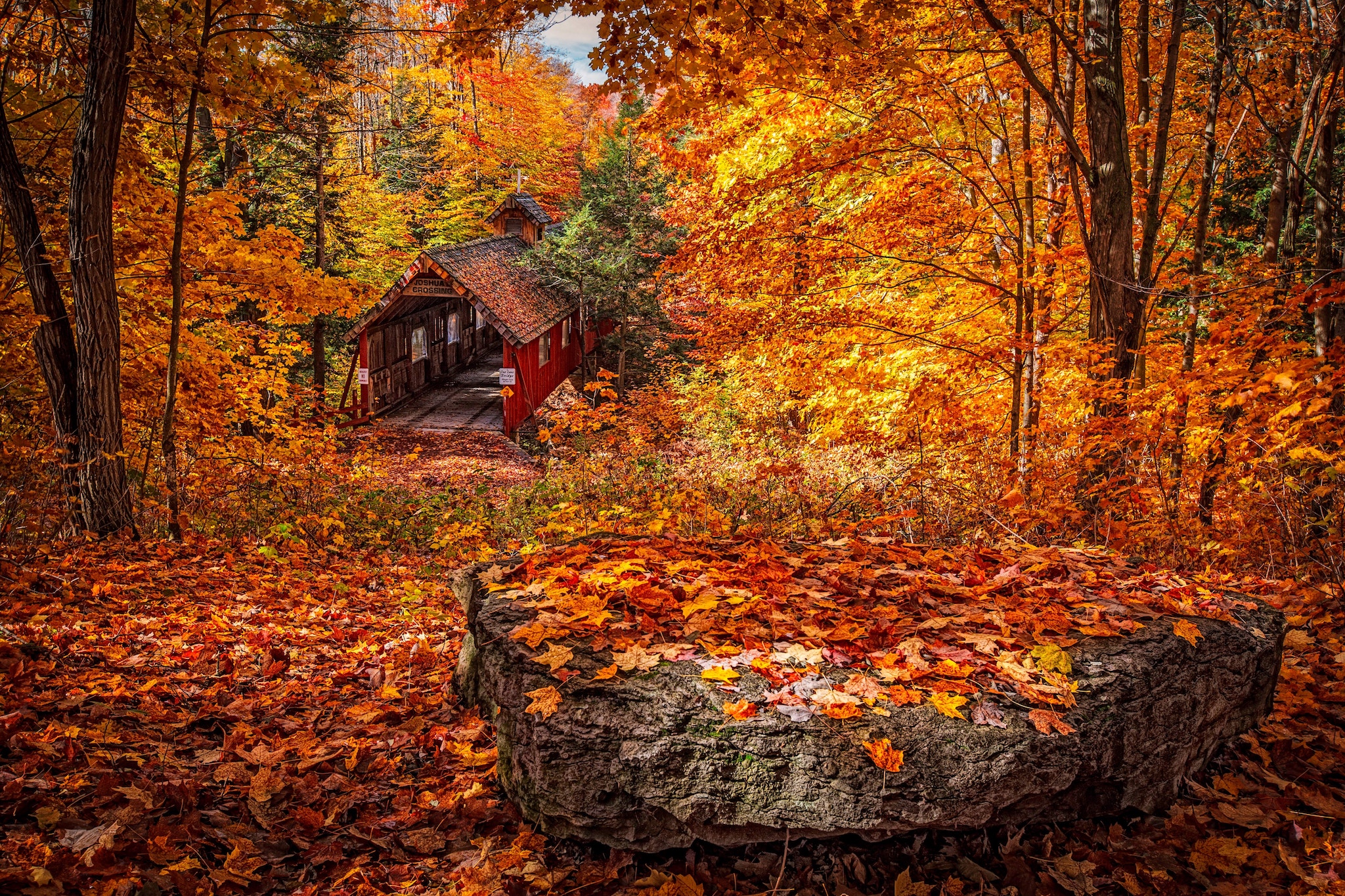 Where to Go for the Best Autumn Foliage by Flight Centre