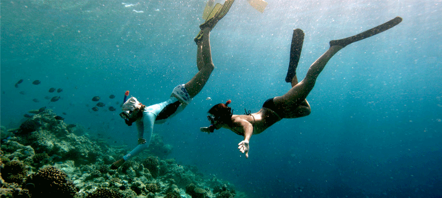 two people snorkeling underwater