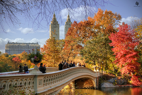 Bow Bridge in Central Park with colourful autumn leaves