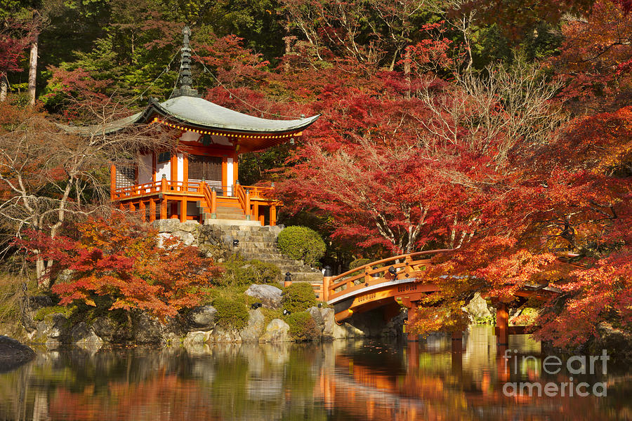 Japanese temple surrounded by orange autumn leaves