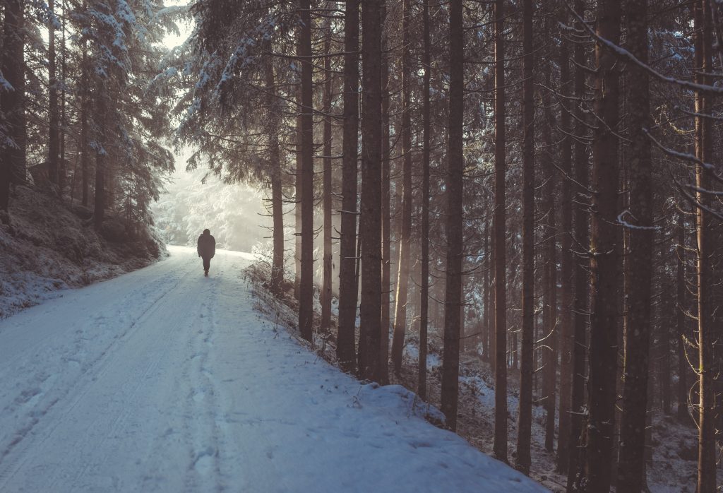 person walking on snow in forest