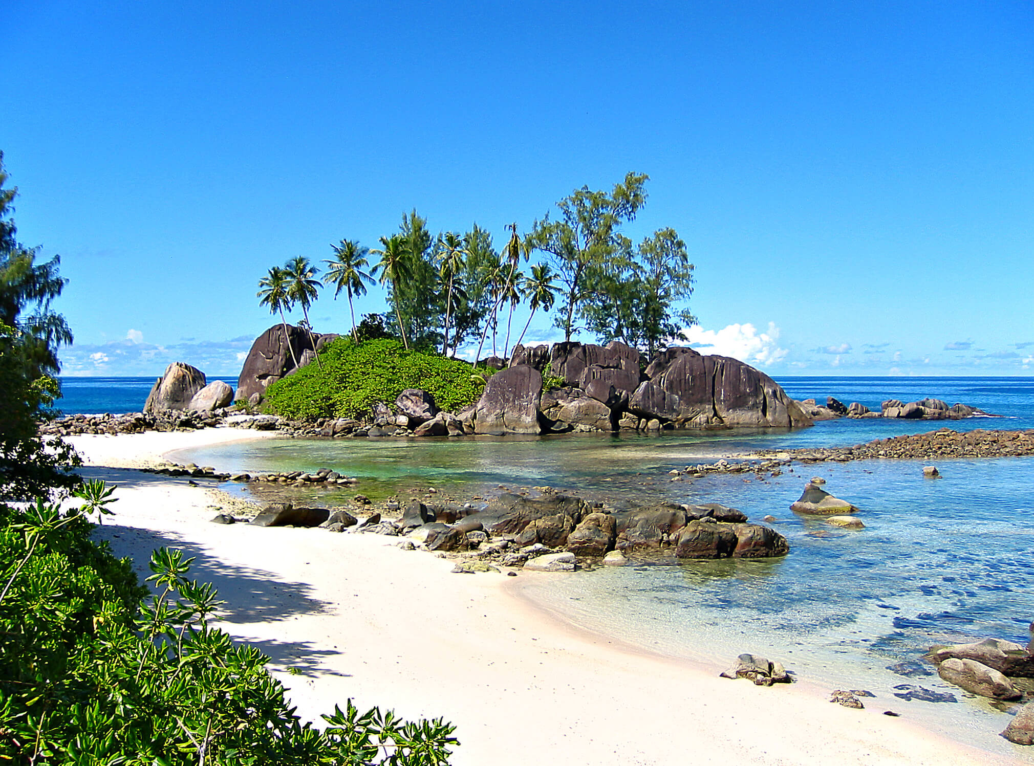 white sand, small island with palm trees