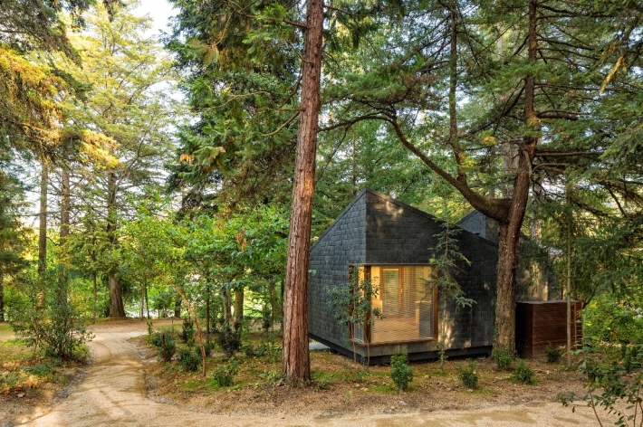 wooden angular forest dwelling