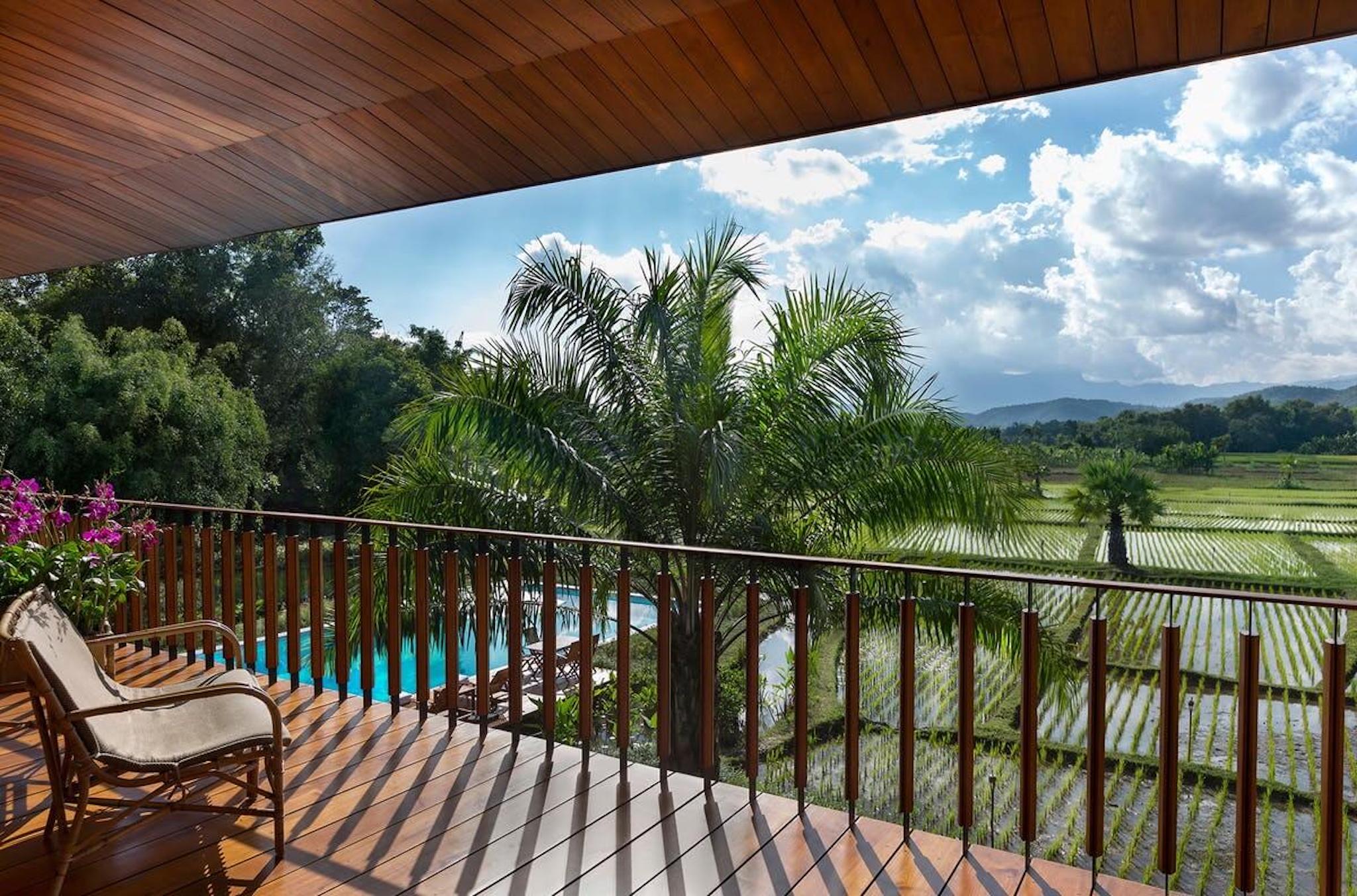 balcony overlooking palm trees and rice paddies